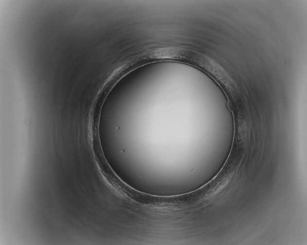 X0000115500530200911131323