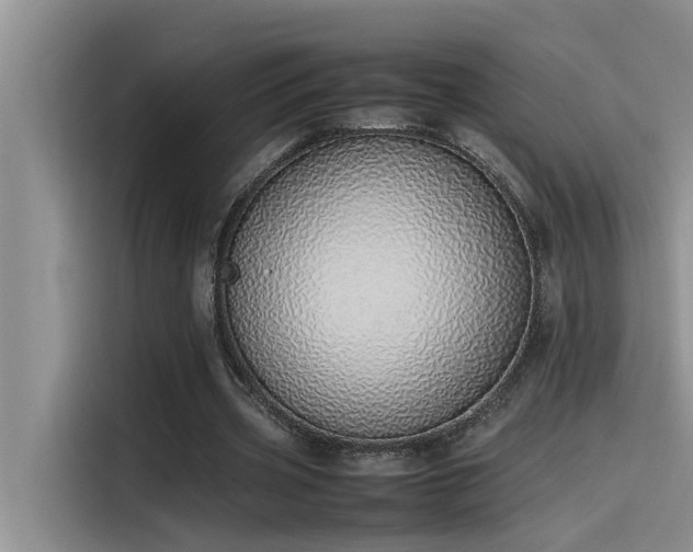 X0000115500533200911131323