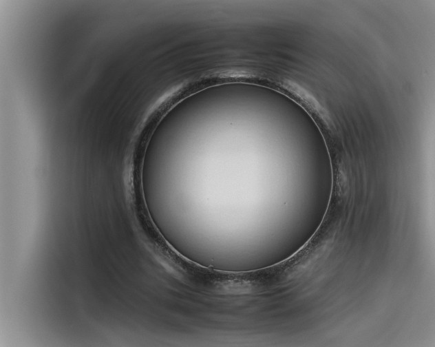 X0000115500535200911131323