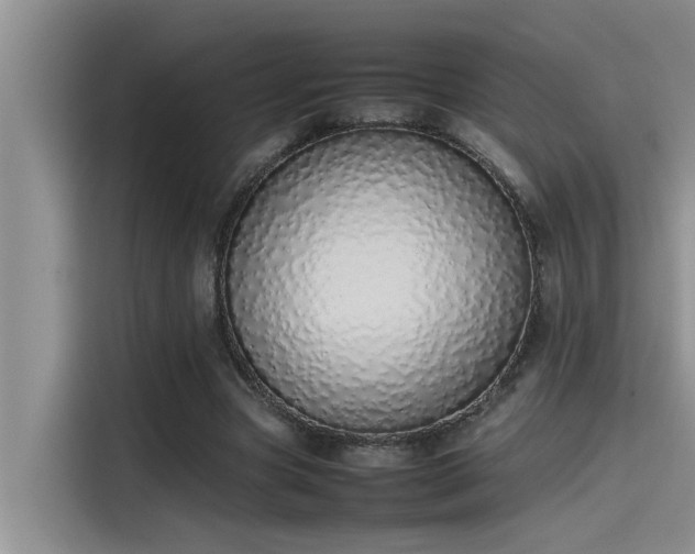 X0000115500537200911131323