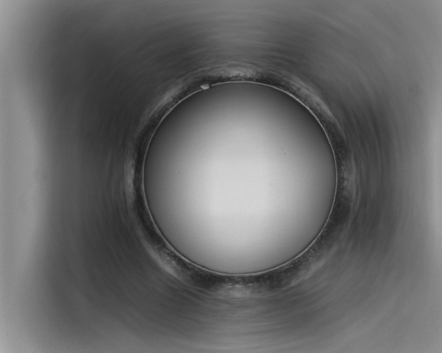 X0000115500538200911131323