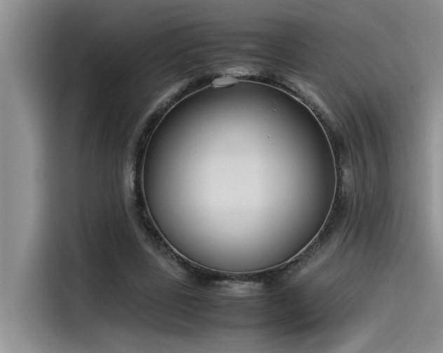 X0000115500539200911131323