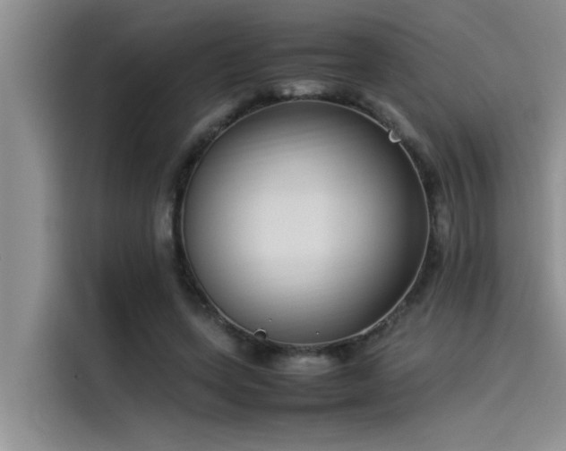 X0000115500543200911131323
