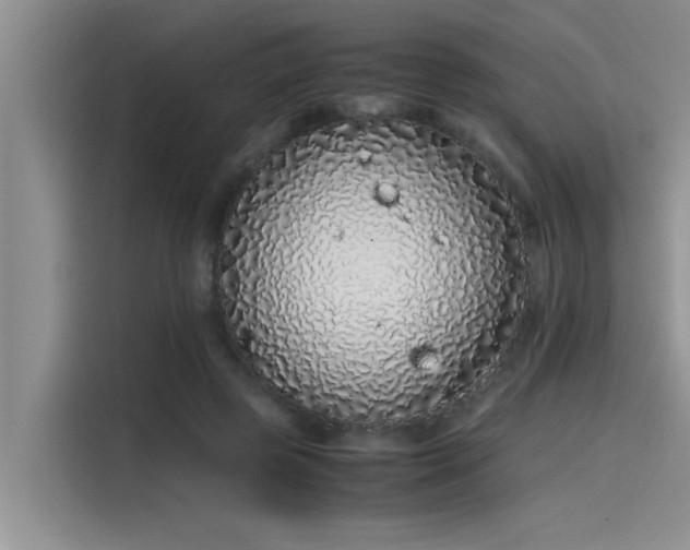 X0000115500545200911131323
