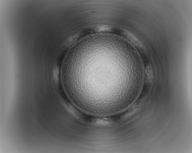 X0000115500550200911131323