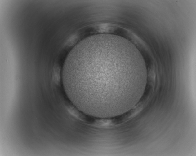 X0000115500554200911131323