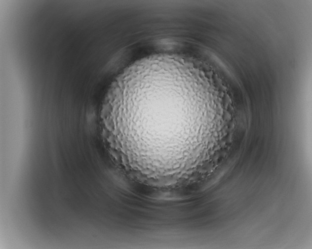 X0000115500557200911131323