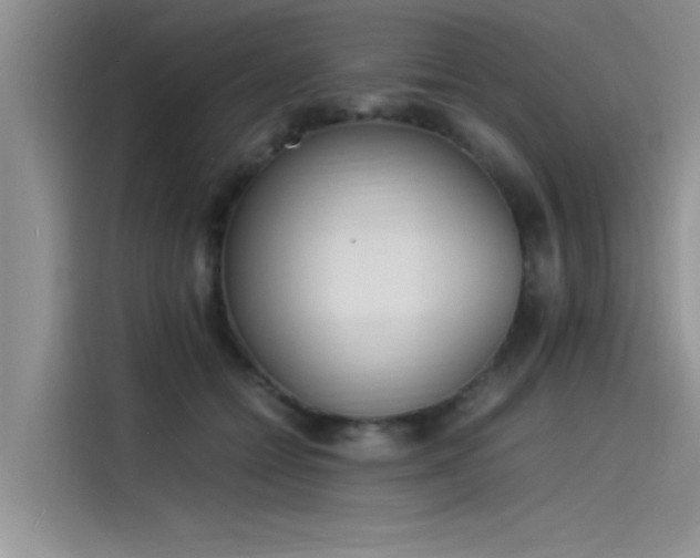 X0000115500558200911131323