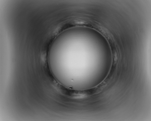 X0000115500559200911131323