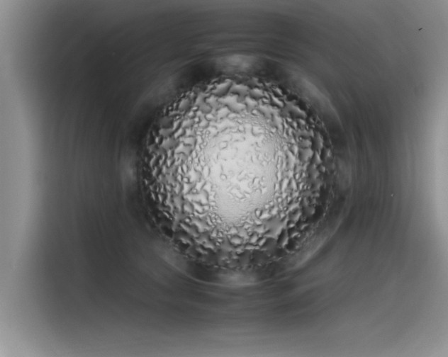 X0000115500561200911131323