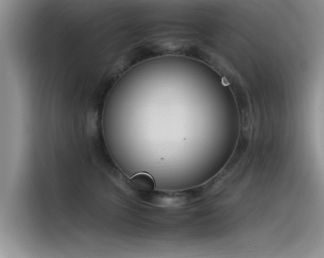 X0000115500563200911131323