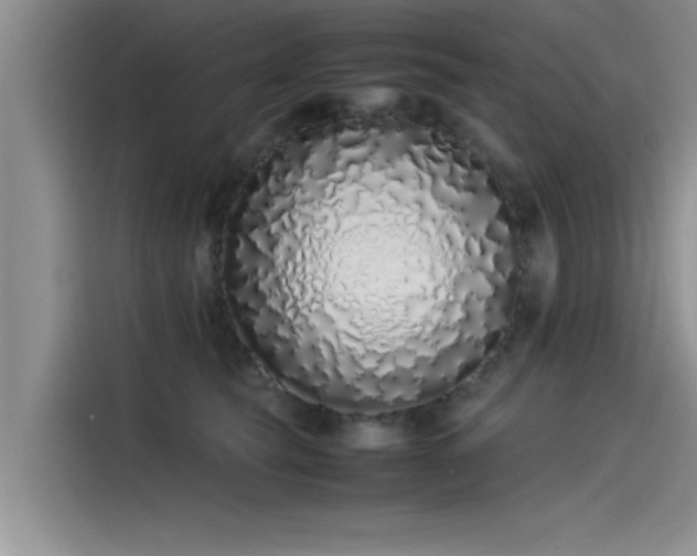 X0000115500565200911131323