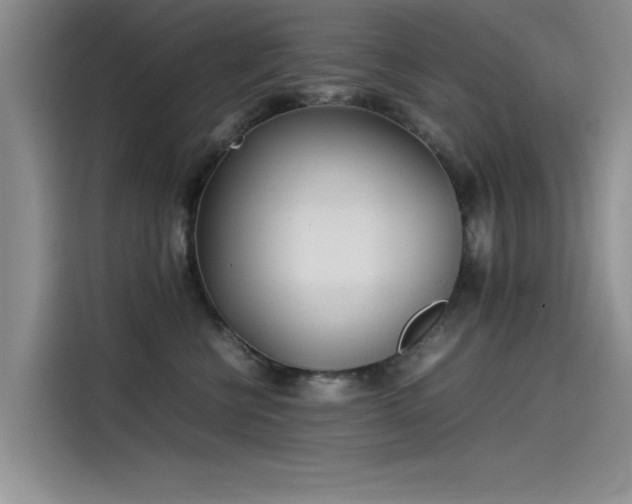 X0000115500570200911131323