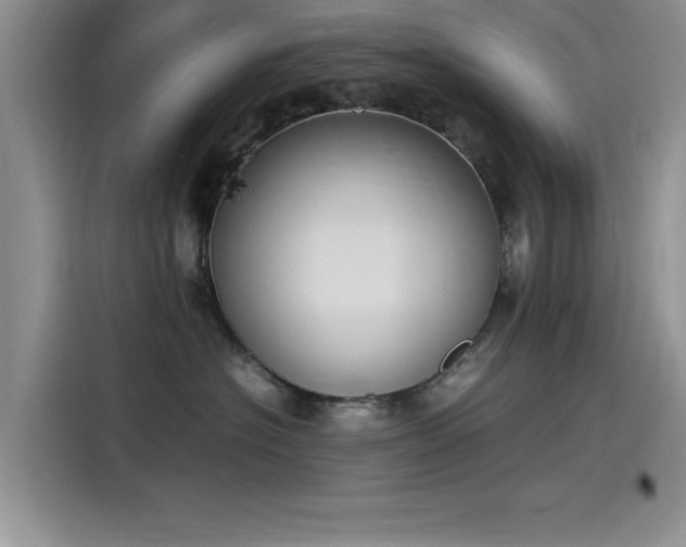 X0000115500574200911131323