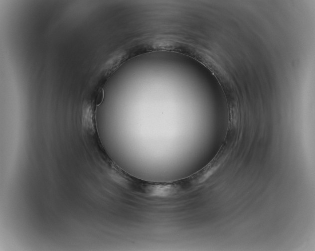 X0000115500575200911131323