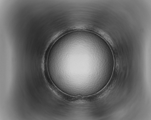 X0000115500578200911131323