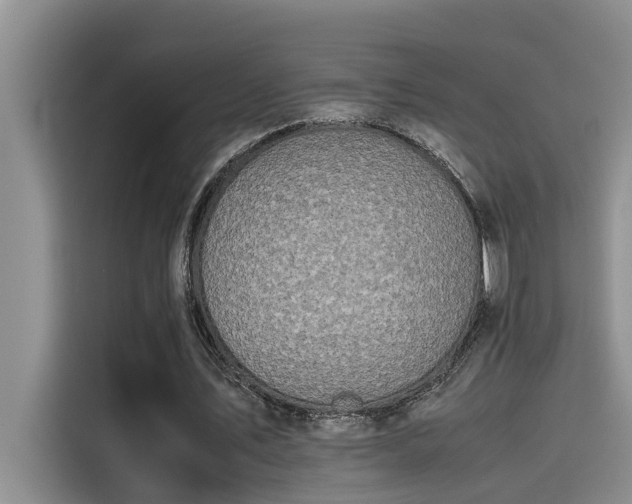 X0000115500579200911131323