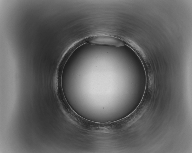 X0000115500580200911131323