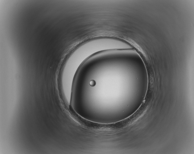 X0000115500581200911131323