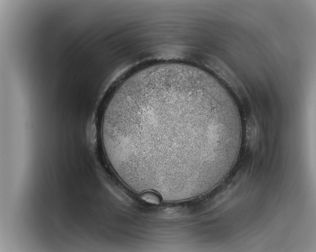 X0000115500584200911131323
