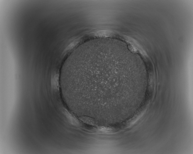 X0000115500585200911131323