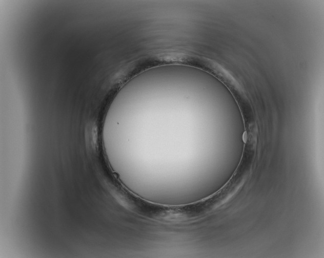 X0000115500589200911131322