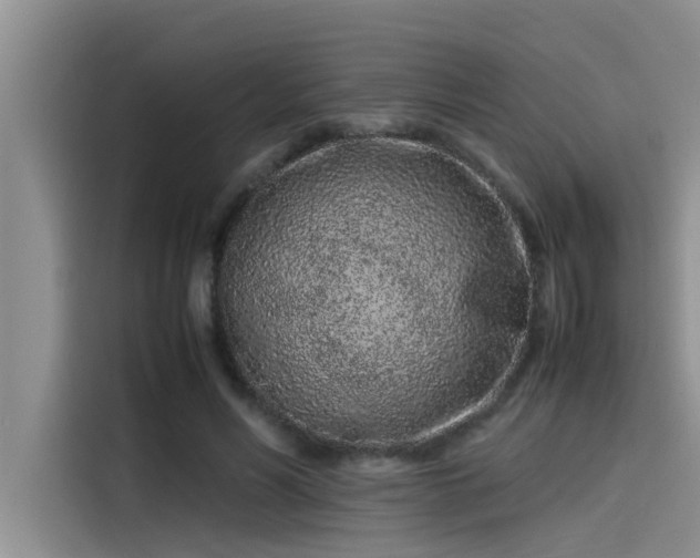 X0000115500590200911131322