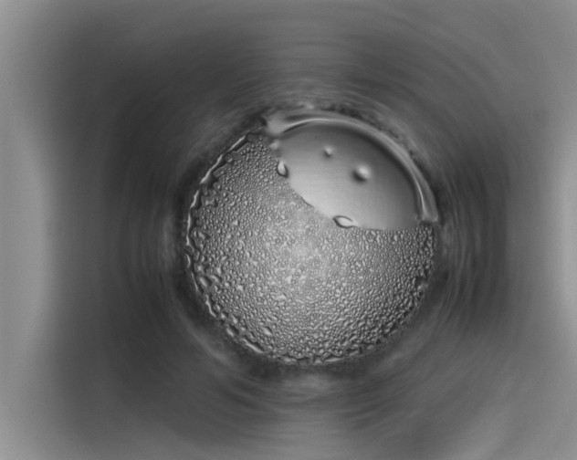 X0000115500594200911131322