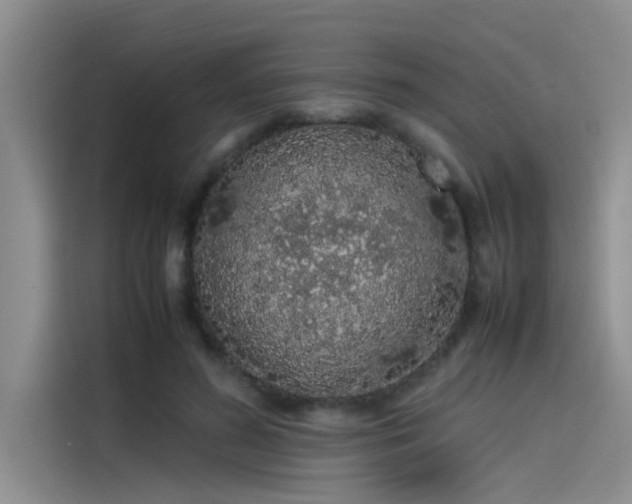 X0000115500596200911131322