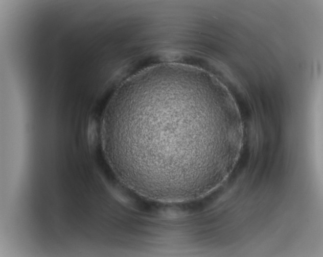 X0000115500598200911131322