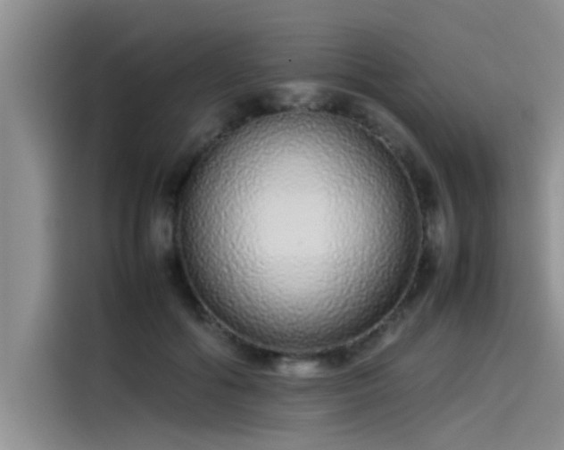 X0000115500602200911131322