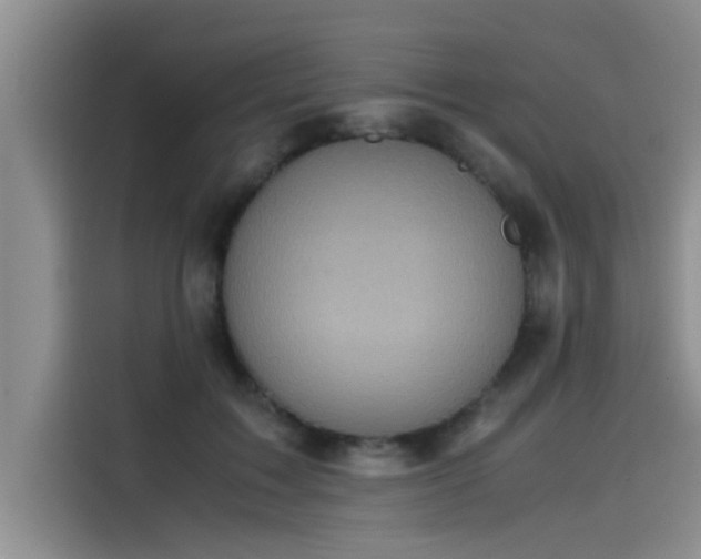 X0000115500603200911131322