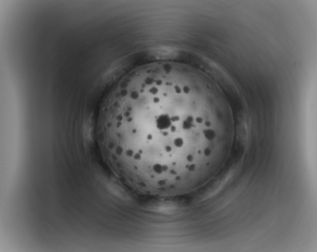 X0000115500604200911131322