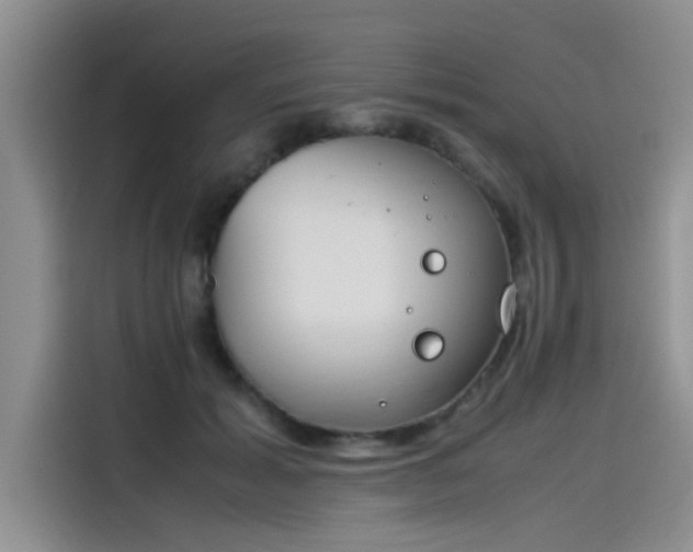 X0000115500605200911131322