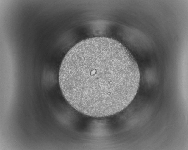 X0000115500606200911131322
