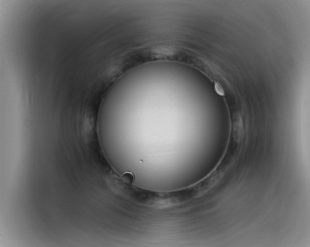 X0000115500608200911131322