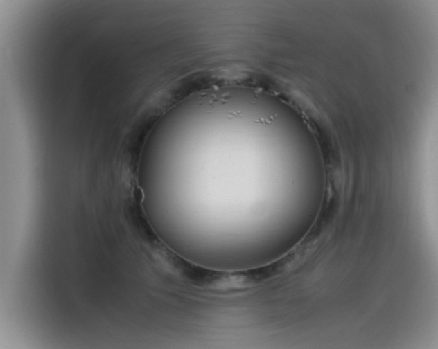 X0000115500609200911131322