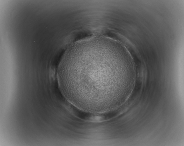 X0000115500610200911131322