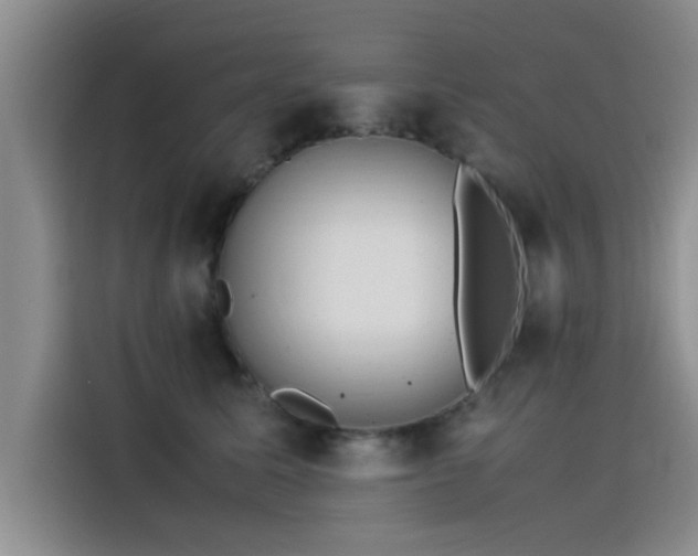 X0000115500611200911131322