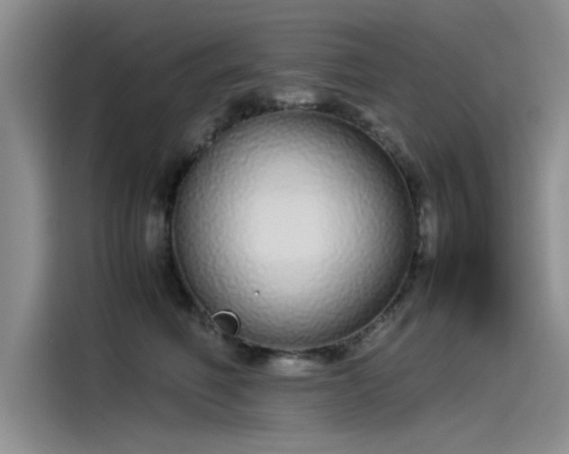 X0000115500614200911131322
