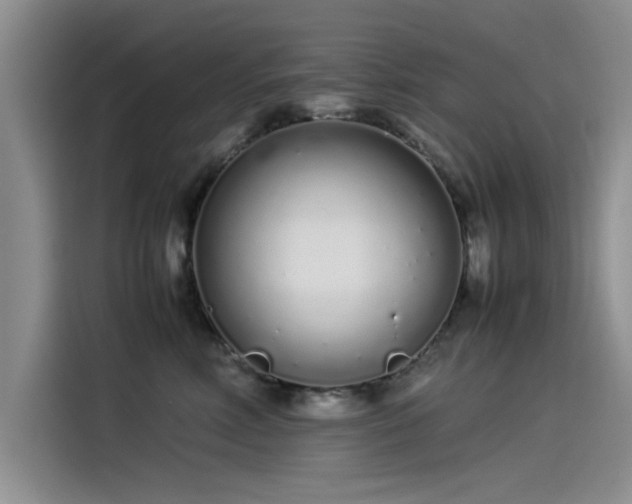 X0000115500618200911131322