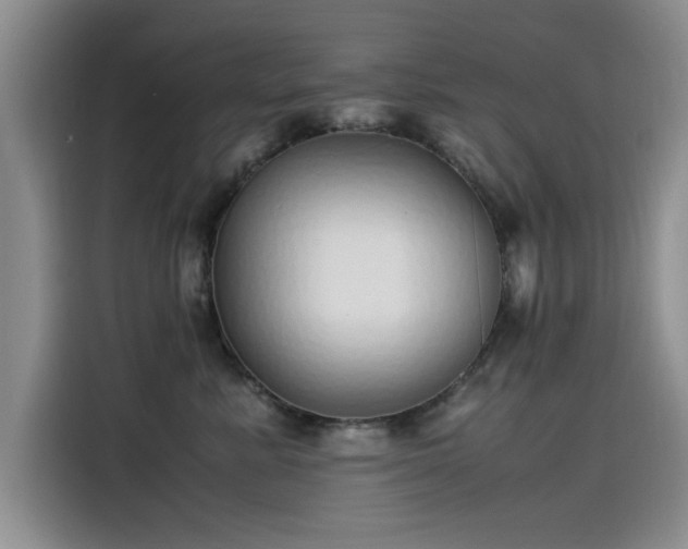 X0000115500619200911131322