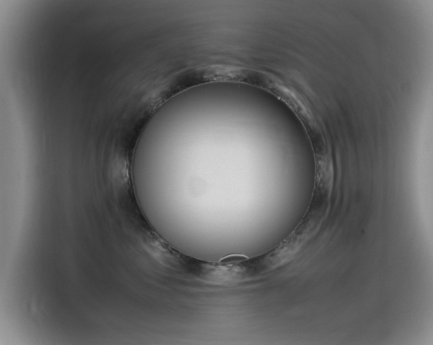 X0000115500621200911131322