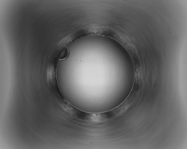 X0000115500623200911131322