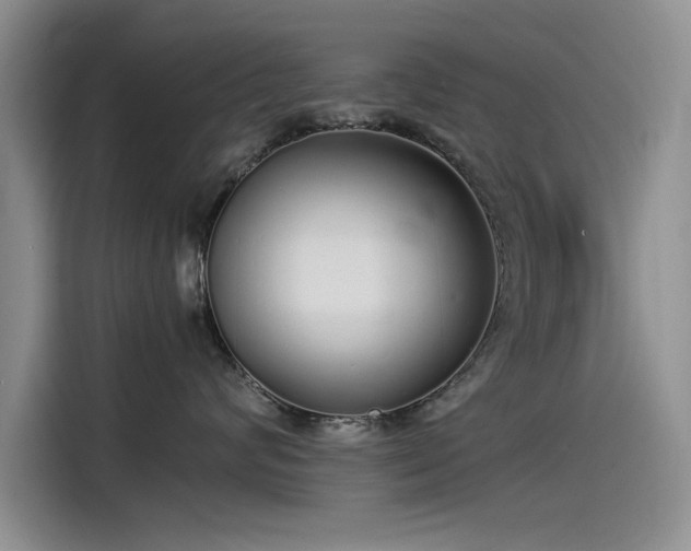 X0000115500624200911131322