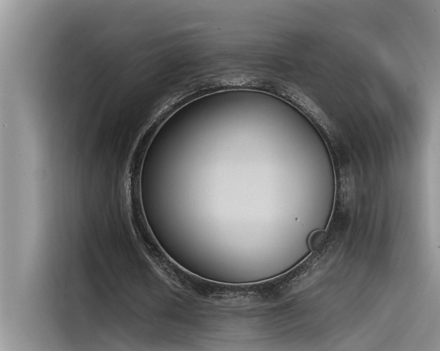 X0000115500626200911131321