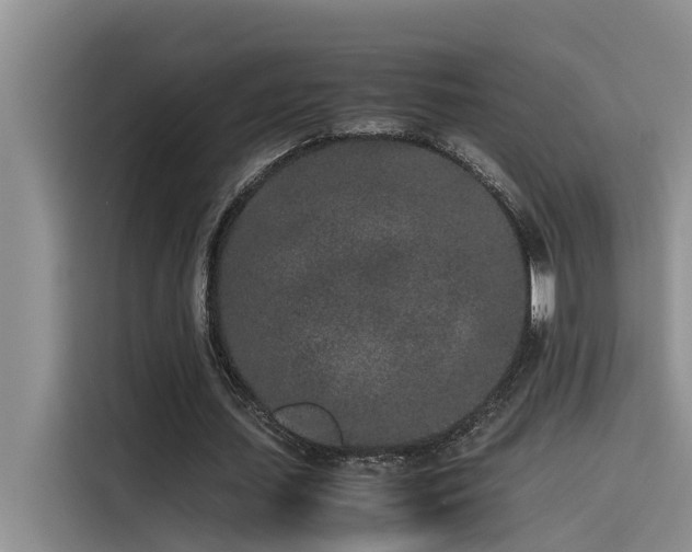 X0000115500627200911131321