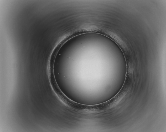 X0000115500630200911131321