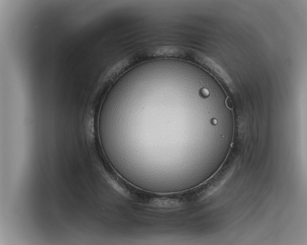 X0000115500633200911131321