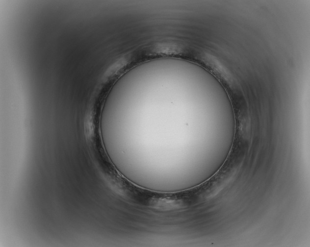 X0000115500635200911131322